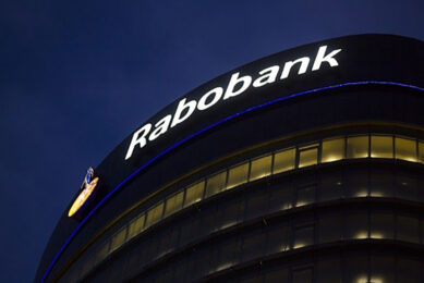 Rabobank vraagt voor extra krediet met borgstelling wel steviger door. - Foto: ANP