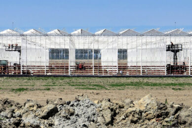 Glastuinbouwprojecten worden groter, wat een consolidatieslag veroorzaakt bij tuinbouwtechniekbedrijven. - foto: Ton van der Scheer