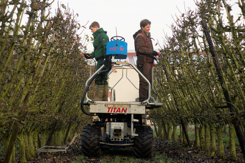 Arbeid in de tuinbouw dreigt met de adviezen van Borstlap nog weer duurder te worden. - Foto: Twan Wiermans
