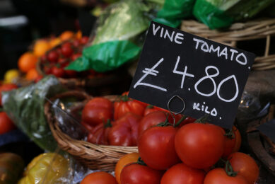 Voor de binnenlandse consumptie kan Engeland niet toe met alleen Britse tomaten. De supers pakken import daarvan vaker direct aan. - Foto: ANP
