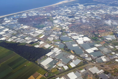 Luchtfoto van het Westland - Foto: ANP