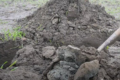 Met de grond moet je het doen als akkerbouwer, zegt aardappelteler Frans Reijrink. Hij neemt deel aan het project Verbetering bodem- en waterkwaliteit in de Noordoostpolder. - Foto: Rachel Henst