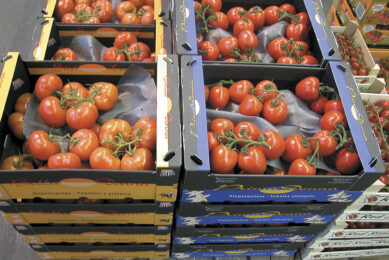 Trostomaten op groothandelsmarkt. - Foto: Groenten&Fruit