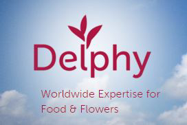 DLV Plant verandert naam in Delphy