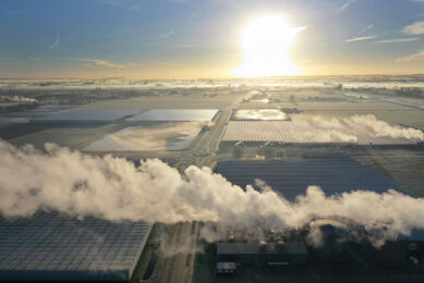 CO2-levering aan kassen wordt doorgerekend door het ministerie van EZK. - Foto: VidiPhoto