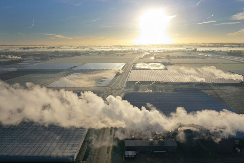 CO2-levering aan kassen wordt doorgerekend door het ministerie van EZK. - Foto: VidiPhoto