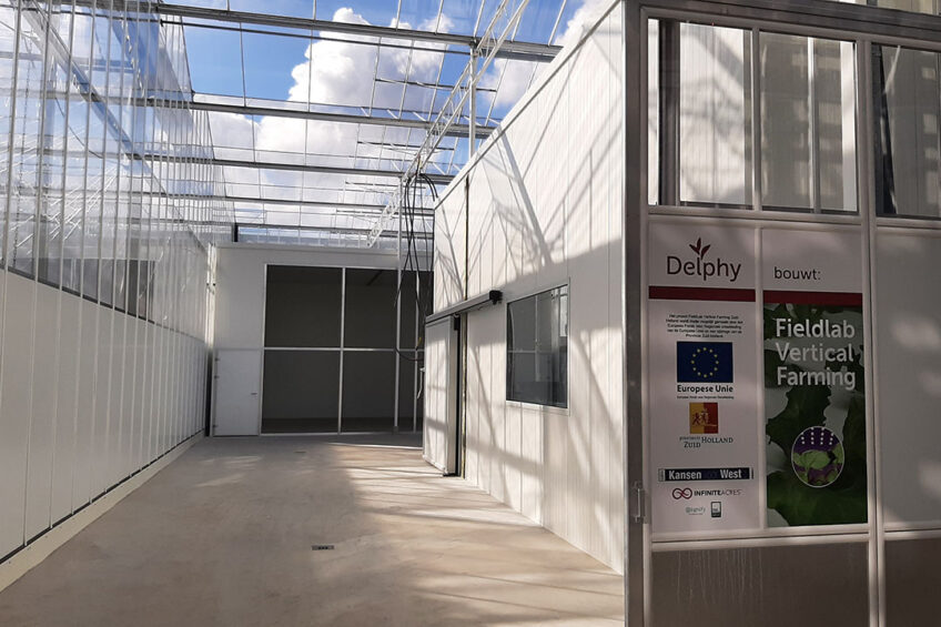 Klimaatcel in aanbouw voor het volledig indoor telen van hoog opgaande en lagere gewassen. - Foto: Delphy