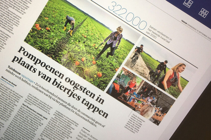 De reportage over seizoenarbeiders uit de cultuursector in Trouw van 10 september 2020. - Foto: Ton van der Scheer