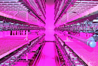 Innovaties die de belofte van vertical farming dichterbij moet brengen zijn kostbaar en onzker. - Foto: Harry Stijger