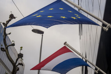 De Europese en Nederlandse vlag. - Foto: ANP