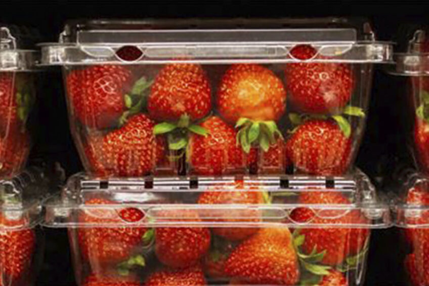 Wat vindt consument belangrijk bij kopen van aardbeien?
