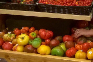 De fijne lijn tussen gekke groenten en een exclusieve diversiteit aan exotische tomaten. - foto: Ton van der Scheer