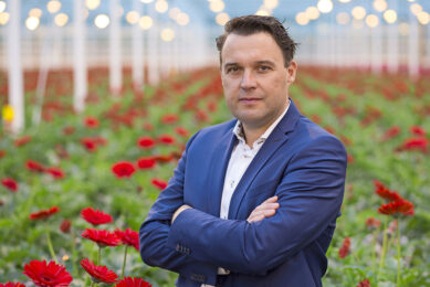 Arne Bac, sectormanager fruit- en sierteelt, Rabobank. - Foto: Joef Sleegers