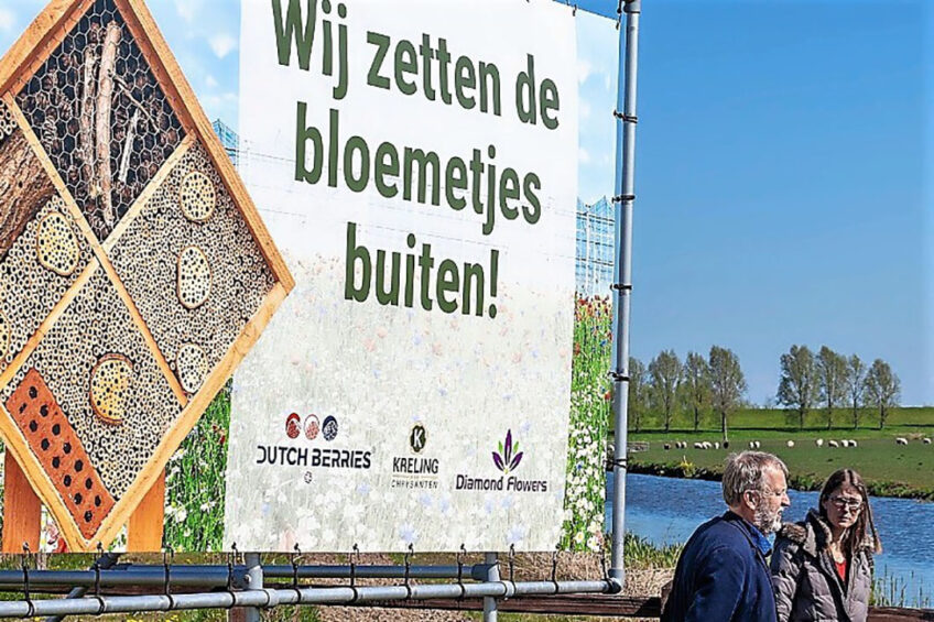 Foto: Glastuinbouw Nederland