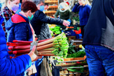 De aanvoer van Poolse groente en fruit op de markten verloopt dit jaar vergelijkbaar met die in andere jaren. - Foto: ANP