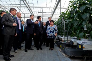 Westlands burgemeester Van der Tak laat Japans premier Abe de moderne glastuinbouw zien. - foto: ANP