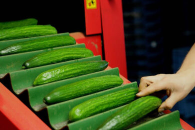 De komkommerprijzen nemen weer afstand van 2021. - Foto: VidiPhoto