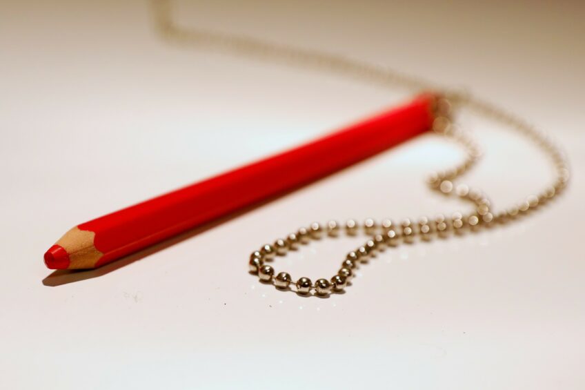 Wie droomt er al van straks weer dat rode potlood? - foto: ANP
