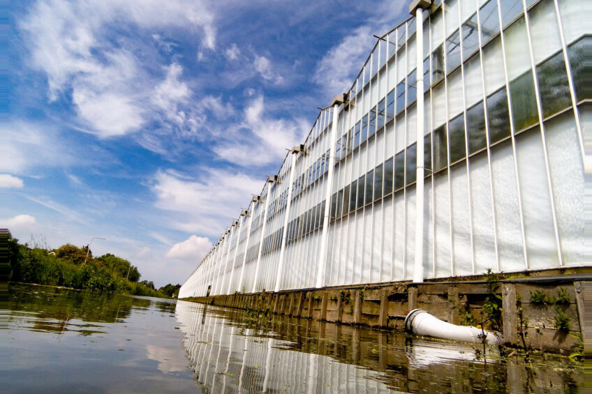 Glastuinbouw Waterproof is een van de drie grote onderzoeksprojecten die LTO wil voortzetten. - foto: Joep van der Pal