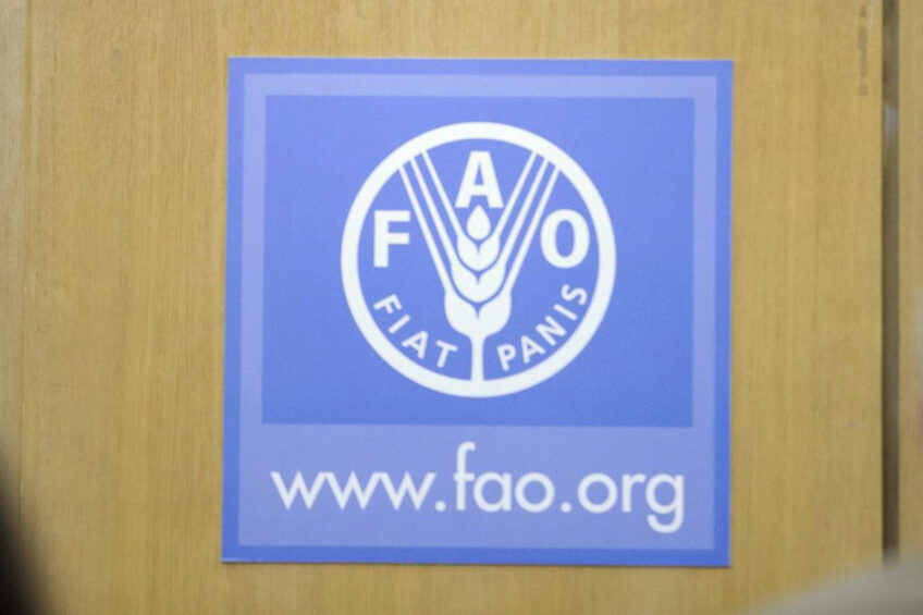 FAO: landbouw heeft dubbele taak bij klimaatverandering - Foto: EPA
