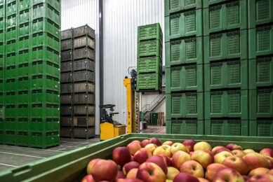 Belgische afzetorganisatiekoepel VBT vreest voor overproductie door met name uitbreiding van appelteelt in Polen. - EPA/Martin Divisek