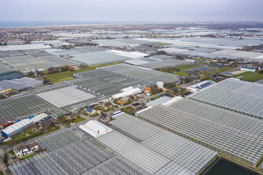 Kassen Westland. Glastuinbouw heeft een eigen CO2-sectorsysteem en een klein deel van de grote bedrijven is aangesloten op het Europese handelssysteem. - Foto: ANP