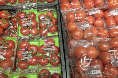 Archiefbeeld tomatenverkoop AH. Trostomaten verkoopt AH nu los. - Foto: Ton van der Scheer