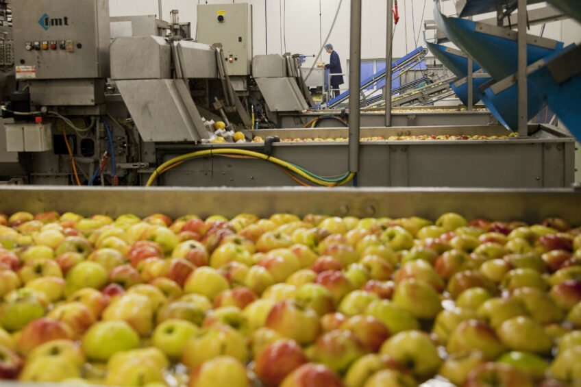 Bij het sorteren worden appels niet altijd even goed gescand op interne gebreken. - foto: Jan Willem Schouten