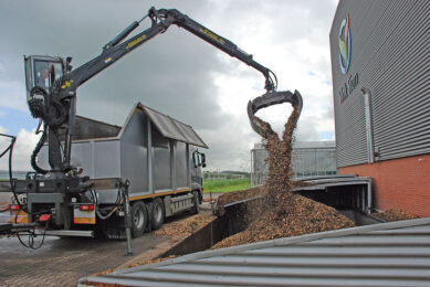 Houtpellets voor de biomassacentrale bij een tuinbouwbedrijf. Het CO2-effect daarvan zou juist ongunstig zijn. - foto: G&F