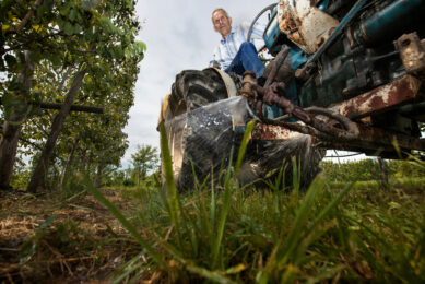 2014: Wim van Wijk spuit spuiwater tegen onkruid in de fruitboomgaard. - Foto: Herbert Wiggerman