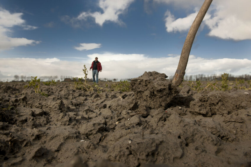 Behoud van bodemvruchtbaarheid moet een belangrijk doel van het zesde actieprogramma Nitraat worden. - Foto: Mark Pasveer