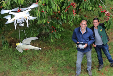 Fruittelers willen graag in de weer met drones - foto: Vidiphoto