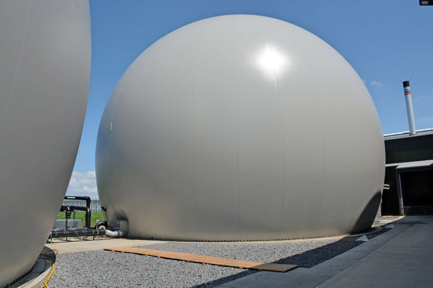CO2 wordt gebuffferd in twee grote ballonnen. - Foto: Peter Visser