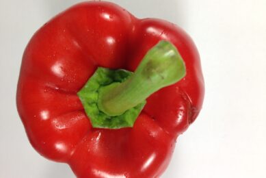Rode paprika met messnee (foto: KCB)