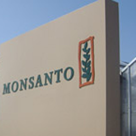 Monsanto wil Syngenta overnemen