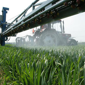 PvdA bezorgd over gezondheidseffecten gewasbescherming voor boer en gezin