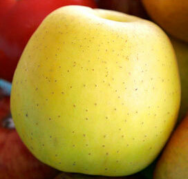 ‘Krappe appeloogst leidt tot duurdere appelmoes’