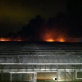Kas in Bleiswijk uitgebrand