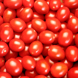 België succesvol in specialty-tomaten