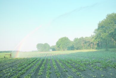 Blgg AgroXpertus analyseert beregeningsmogelijkheden per bodem