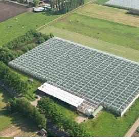 ‘Glastuinbouw loost te veel gewasbeschermingsmiddelen’