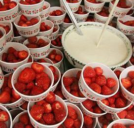 Fransen mikken op meer aardbeien
