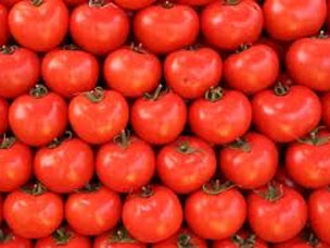 Retail nog niet over op Hollandse tomaat