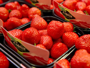 Productie op aardbeienmarkt blijft beperkt