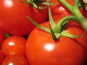 Lage prijzen op tomatenmarkt