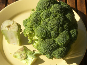 Stuivertje wisselen bij broccoli (wk 39)