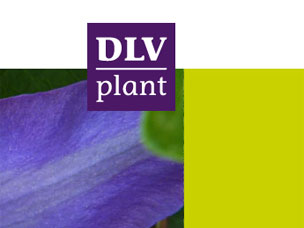 DLV Plant onderneemt in Denemarken