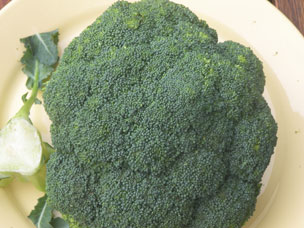 Week 44: broccoli om te zoenen