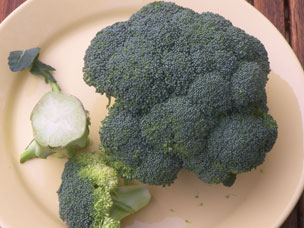 Week 45: eerste Spaanse broccoli