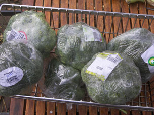 Spaanse broccoli zet voet aan land (wk 46)